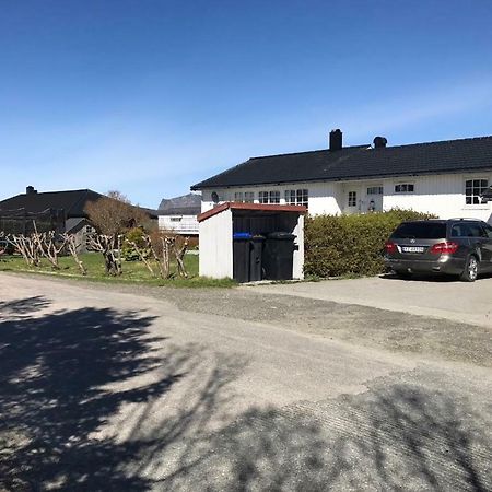 Cozy & Private Room In The Middle Of Lofoten Лекнес Екстериор снимка